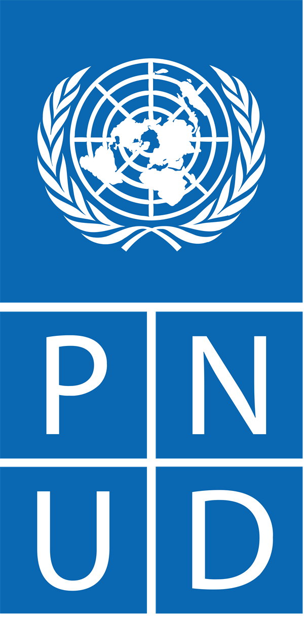 Programme des Nations Unies pour le développement
